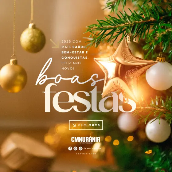 Festividades